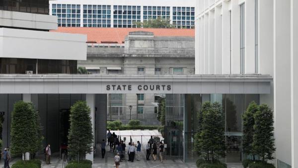 评论：新加坡是否应该对更多罪行实施鞭刑？
