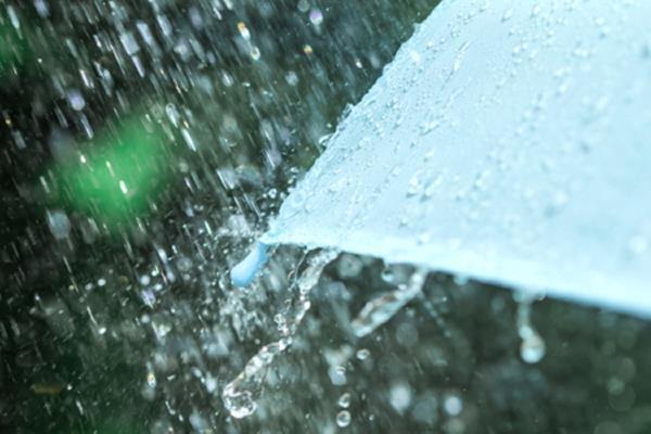 巴坦群岛和卡加延因台风"戈里奥"发布中到大雨警报  第1张